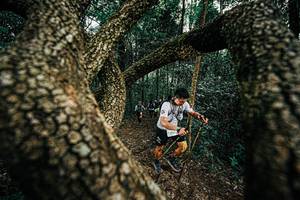 BIB: 
                            <button type="button" onclick="openModal(25393258)" class="btn btn-primary btn-sm float-right btn-popup" data-toggle="modal" data-target=".modal-high-quality">
                        <i class="fas fa-shopping-cart"></i> Add to Cart
                    </button>
                                            <button type="button" onclick="isThisMe(25393258, true)" class="btn btn-success btn-sm float-right btn-popup btn-isme hidden" data-toggle="tooltip" data-placement="bottom" title="นี่คือรูปของคุณใช่ไหม คลิกที่นี่เพื่อเอาเข้าอัลบั้ม">
                        <i class="fas fa-plus"></i> Add to album
                    </button>
                    <button type="button" onclick="isThisMe(25393258, false)" class="btn btn-warning btn-sm float-right btn-popup btn-isnotme hidden">
                        <i class="fas fa-ban"></i> Remove from album
                    </button>